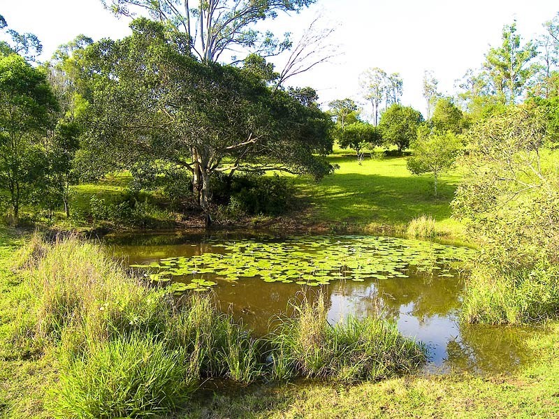 12 Mill Road, Pullenvale QLD 4069