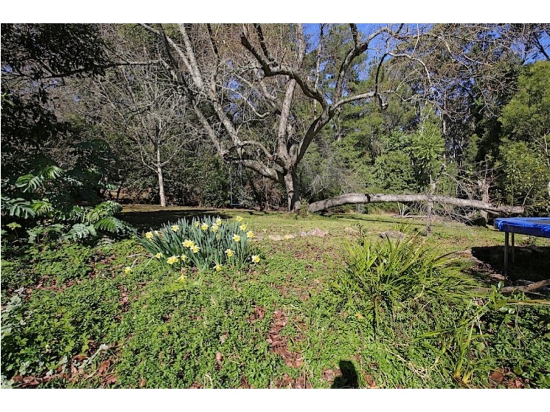 1025 Kangaroo Valley Road, Bellawongarah NSW 2535