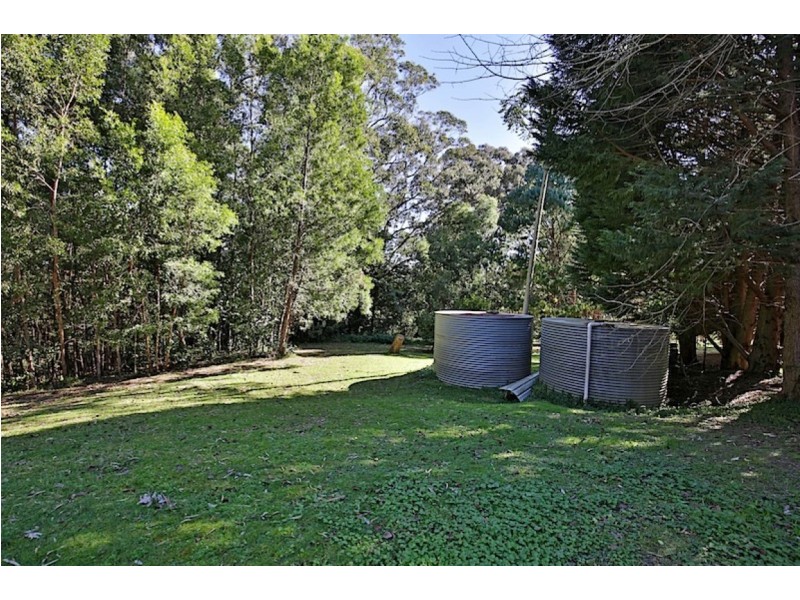 1025 Kangaroo Valley Road, Bellawongarah NSW 2535
