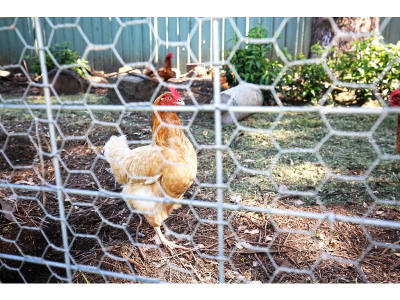 12 Mount Vista Close, Berry NSW 2535