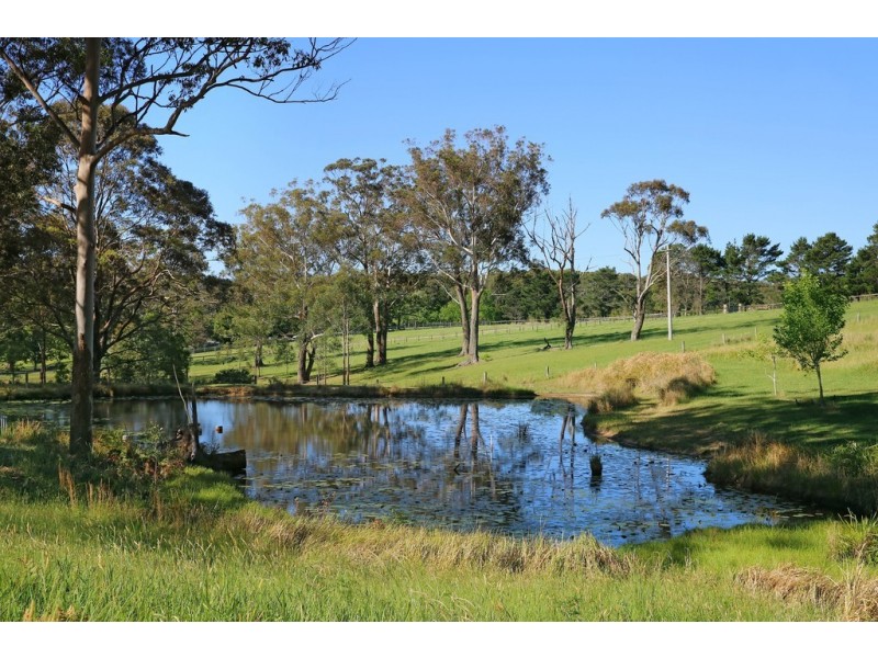 40 BORROWDALE CLOSE, Berry NSW 2535