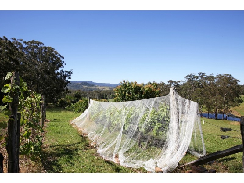 40 BORROWDALE CLOSE, Berry NSW 2535