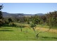 40 BORROWDALE CLOSE, Berry NSW 2535