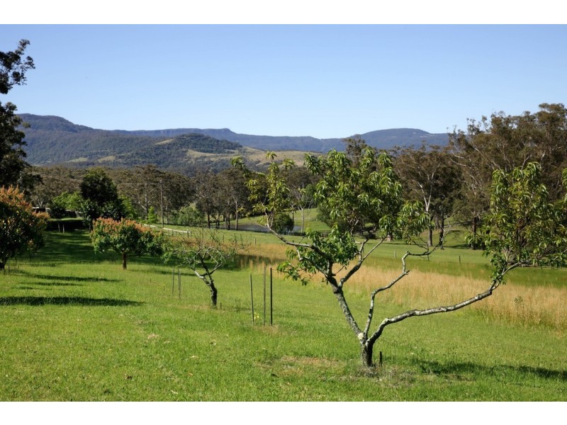 40 BORROWDALE CLOSE, Berry NSW 2535