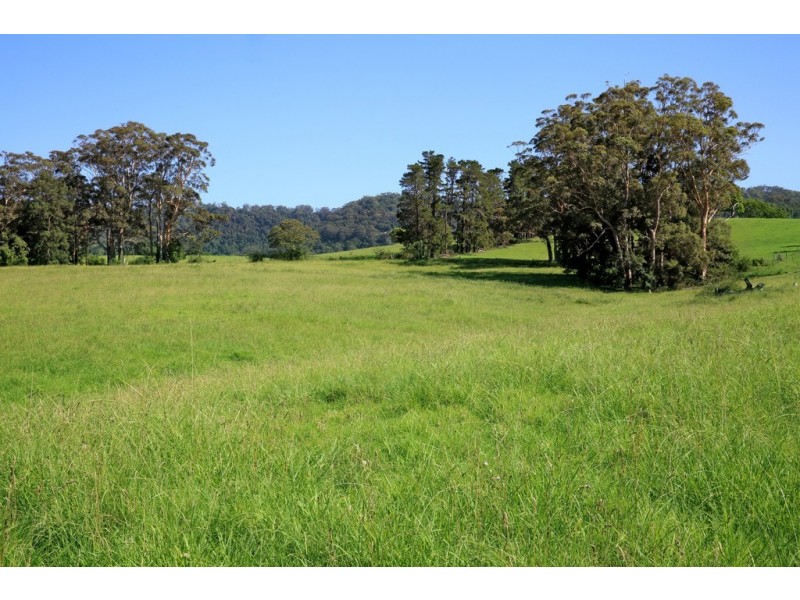 76 STRONGS ROAD, Jaspers Brush NSW 2535