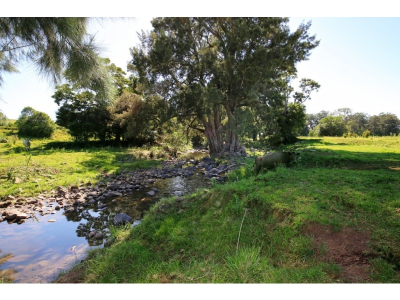 76 STRONGS ROAD, Jaspers Brush NSW 2535