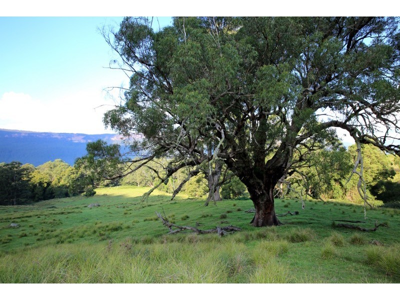 119d Mackays Rd, Kangaroo Valley NSW 2577