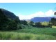 119d Mackays Rd, Kangaroo Valley NSW 2577