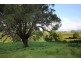 119d Mackays Rd, Kangaroo Valley NSW 2577