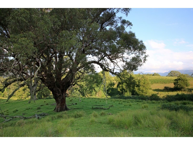 119d Mackays Rd, Kangaroo Valley NSW 2577