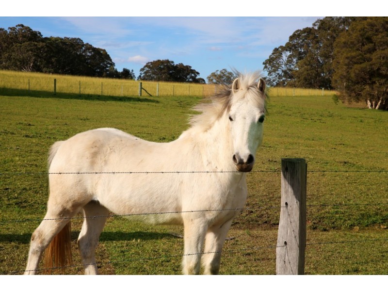 36D Monteith Way, Parma NSW 2540