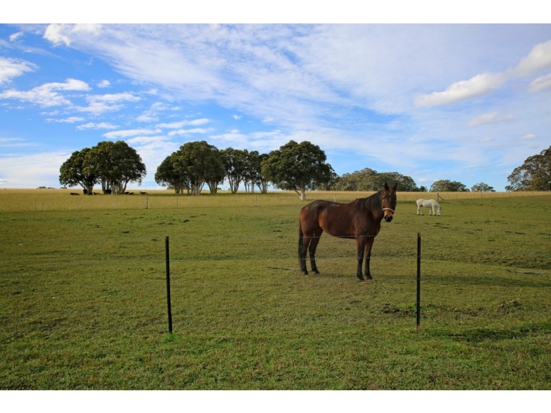 36D Monteith Way, Parma NSW 2540