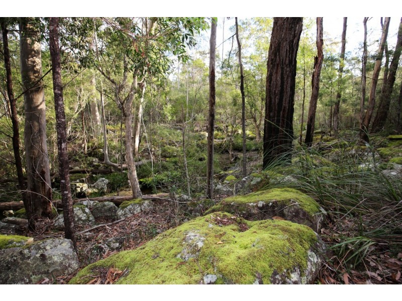 36D Monteith Way, Parma NSW 2540