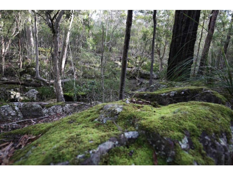 36D Monteith Way, Parma NSW 2540