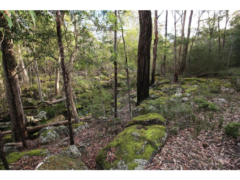 36D Monteith Way, Parma NSW 2540