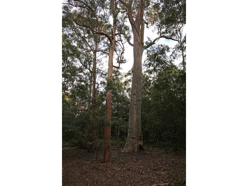 36D Monteith Way, Parma NSW 2540