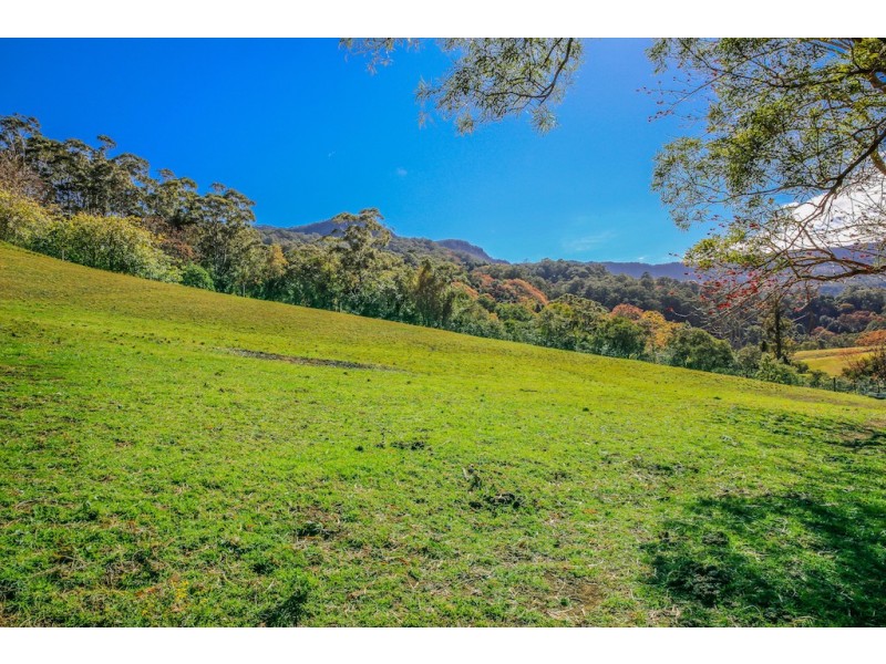 64 Cedargrove Lane, Berry NSW 2535