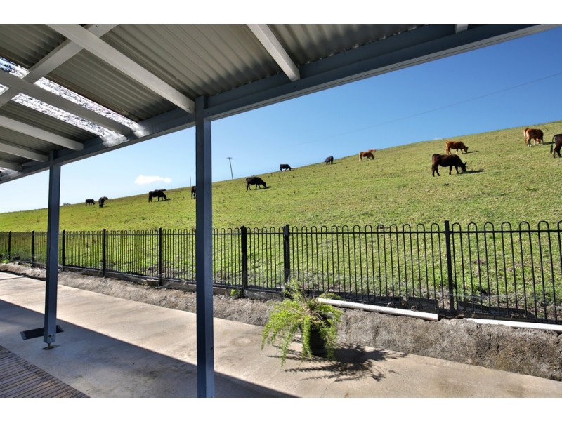 63 Macquarie Street, Jamberoo NSW 2533