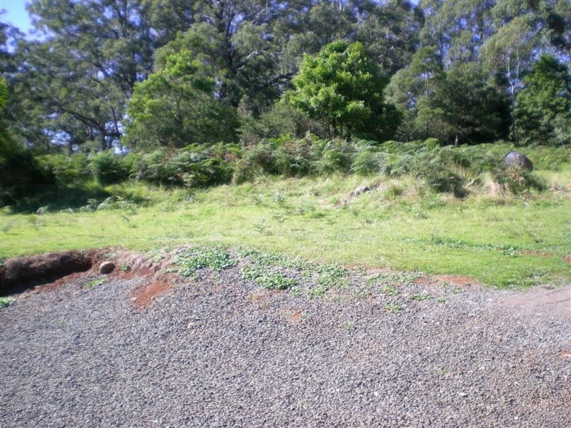 2 Sturgiss Road, Sassafras NSW 2622
