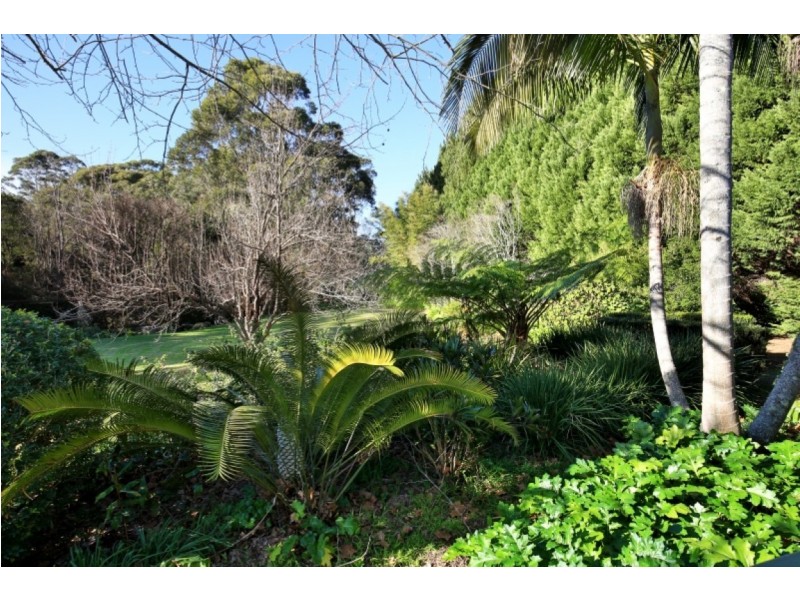 258 BONG BONG ROAD, Broughton Vale NSW 2535