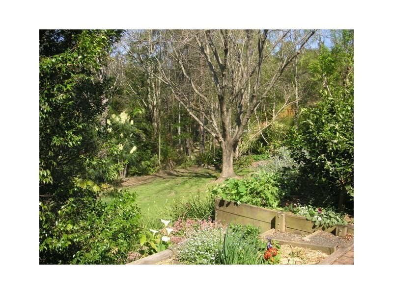 12 Sabal Close, Berry NSW 2535