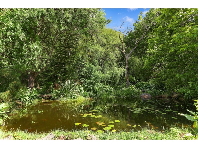 163a Wattamolla Road, Berry NSW 2535