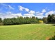 639 COOLANGATTA ROAD, Berry NSW 2535