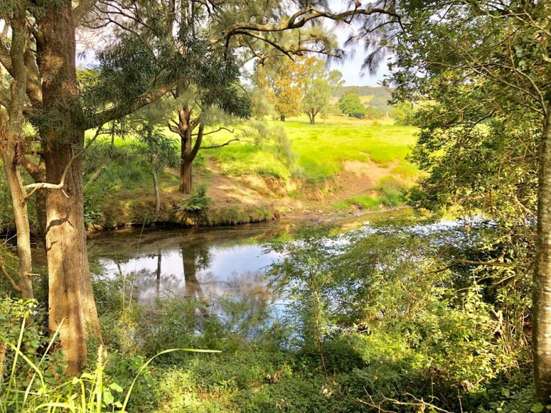 2 Connors Creek Rd, Berry NSW 2535