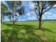 Berry NSW 2535