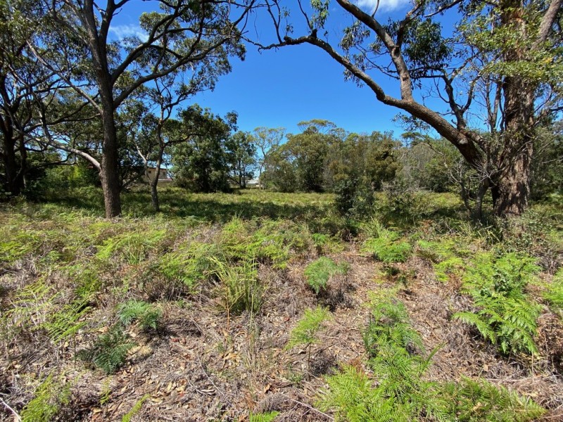 138 and 142 Scott Street, Shoalhaven Heads NSW 2535