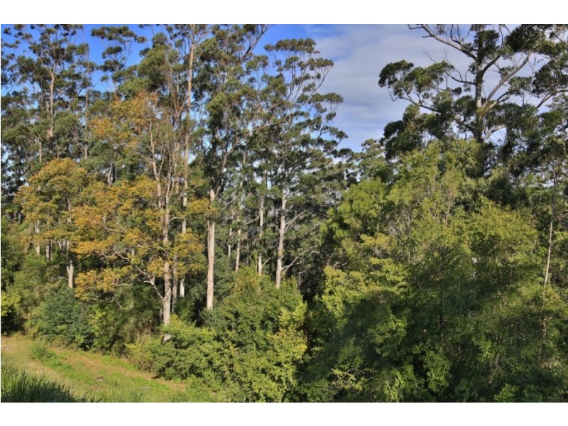 481 WOODHILL MOUNTAIN ROAD, Berry NSW 2535
