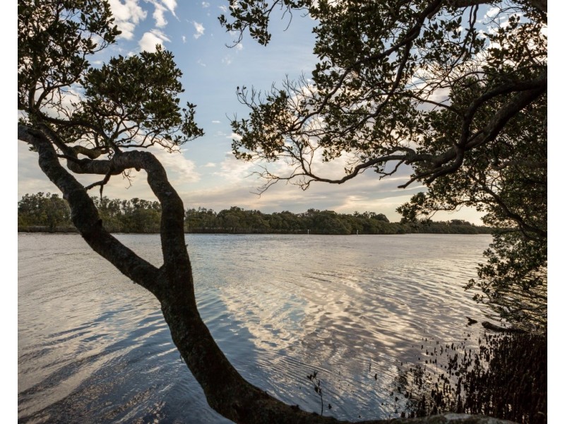 Coolangatta NSW 2535