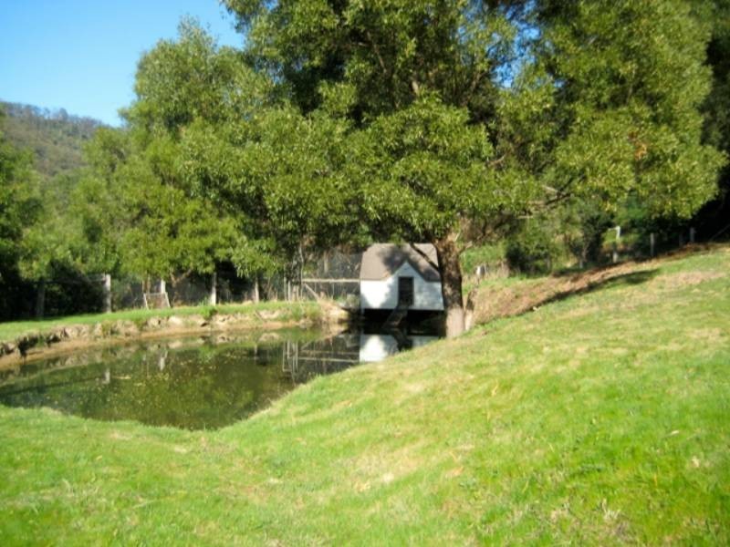 283 Bundewallah Road, Berry NSW 2535