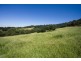 Berry NSW 2535