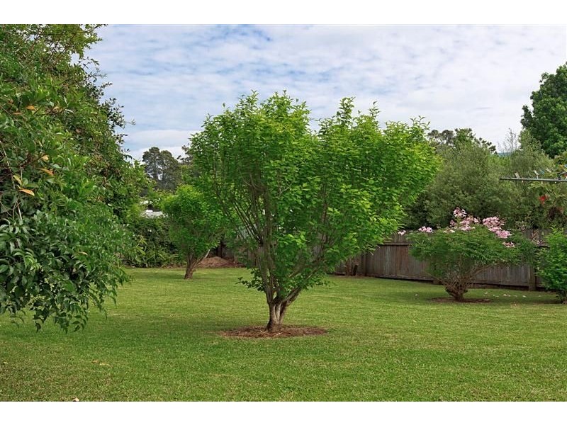 51 Prince Alfred St, Berry NSW 2535