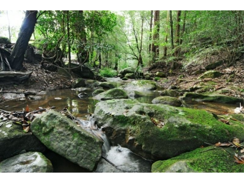 Kangaroo Valley NSW 2577