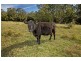 940 Kangaroo Valley Road, Berry NSW 2535