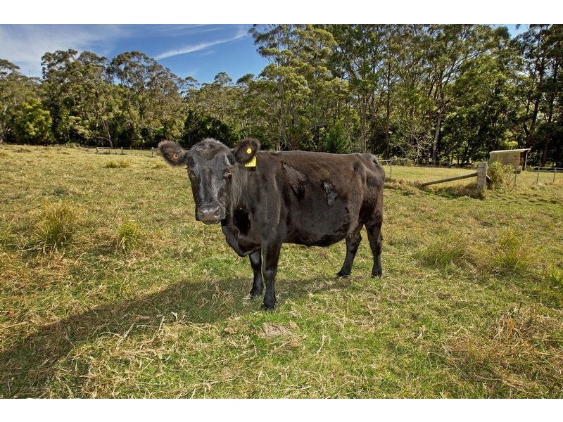 940 Kangaroo Valley Road, Berry NSW 2535