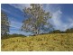940 Kangaroo Valley Road, Berry NSW 2535