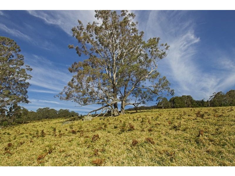 940 Kangaroo Valley Road, Berry NSW 2535