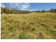 940 Kangaroo Valley Road, Berry NSW 2535