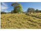 940 Kangaroo Valley Road, Berry NSW 2535