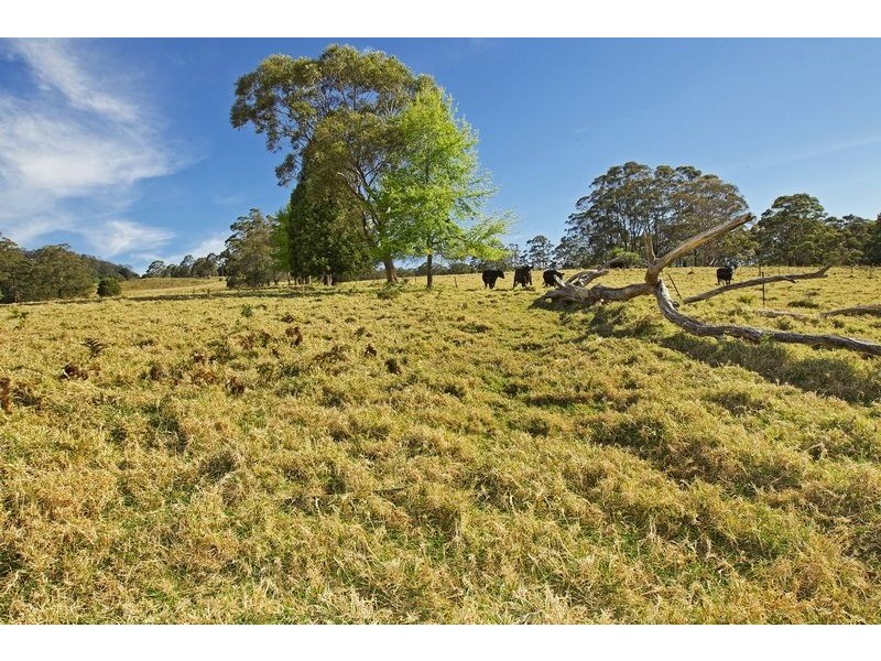 940 Kangaroo Valley Road, Berry NSW 2535
