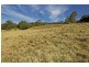 940 Kangaroo Valley Road, Berry NSW 2535