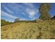 940 Kangaroo Valley Road, Berry NSW 2535