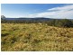 940 Kangaroo Valley Road, Berry NSW 2535
