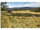 940 Kangaroo Valley Road, Berry NSW 2535
