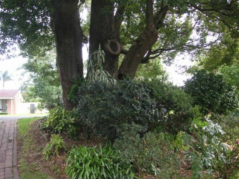 41 Windsor Drive, Berry NSW 2535