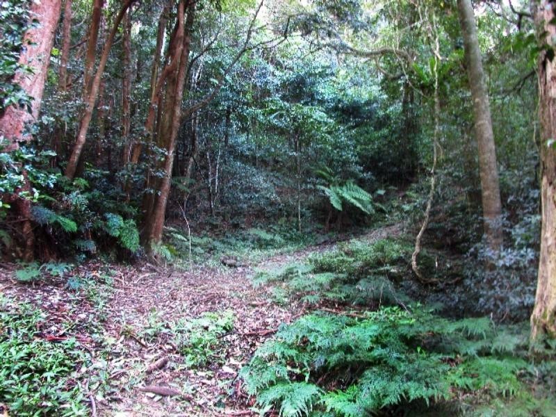 498 Woodhill Mountain Road, Berry NSW 2535