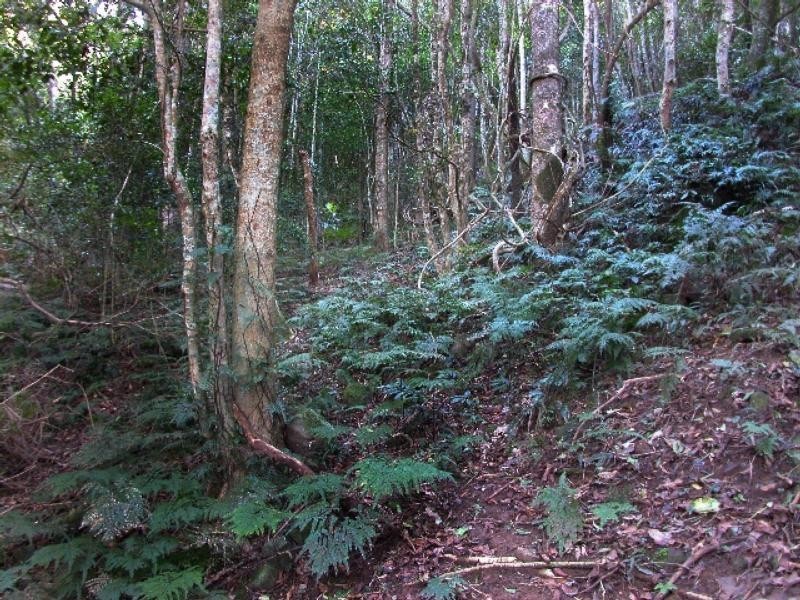 498 Woodhill Mountain Road, Berry NSW 2535